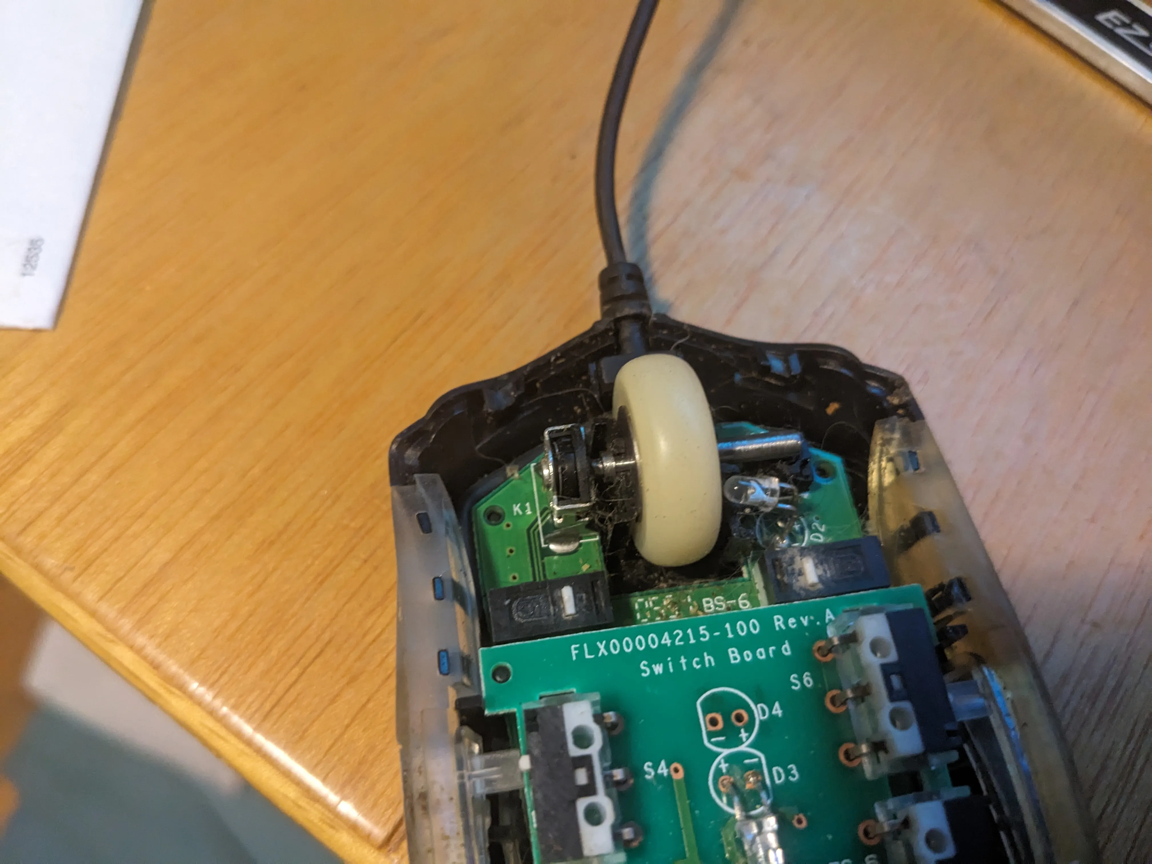 04-in-mouse.jpg
